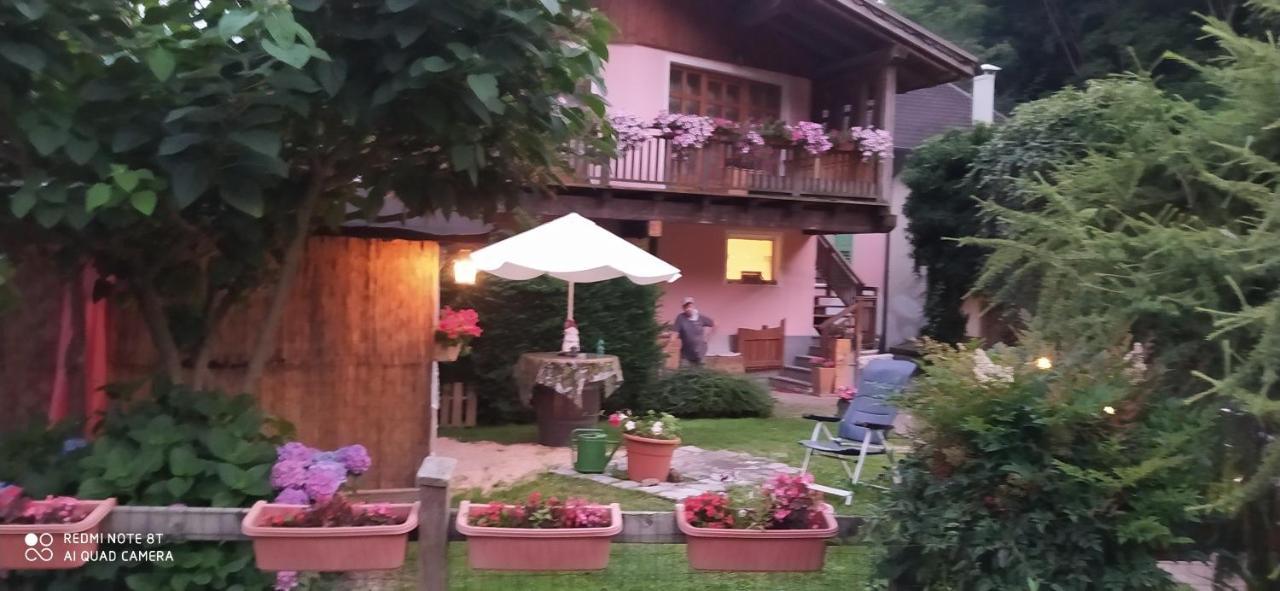 B&B Al Larice Strigno Bagian luar foto