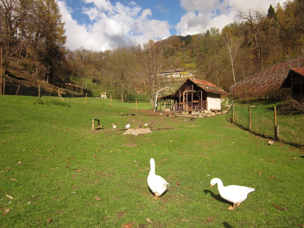 B&B Al Larice Strigno Bagian luar foto