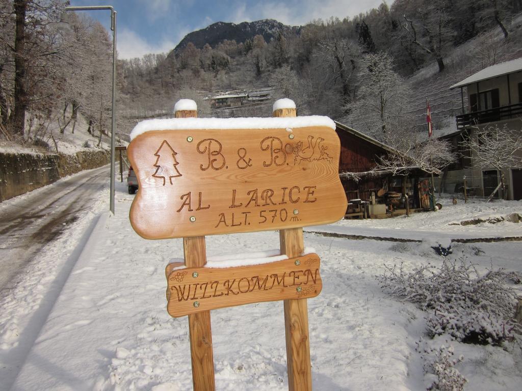 B&B Al Larice Strigno Bagian luar foto