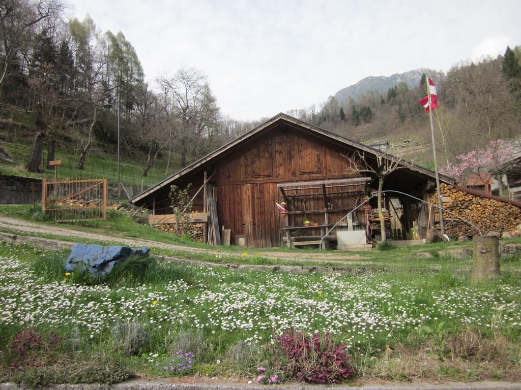 B&B Al Larice Strigno Bagian luar foto